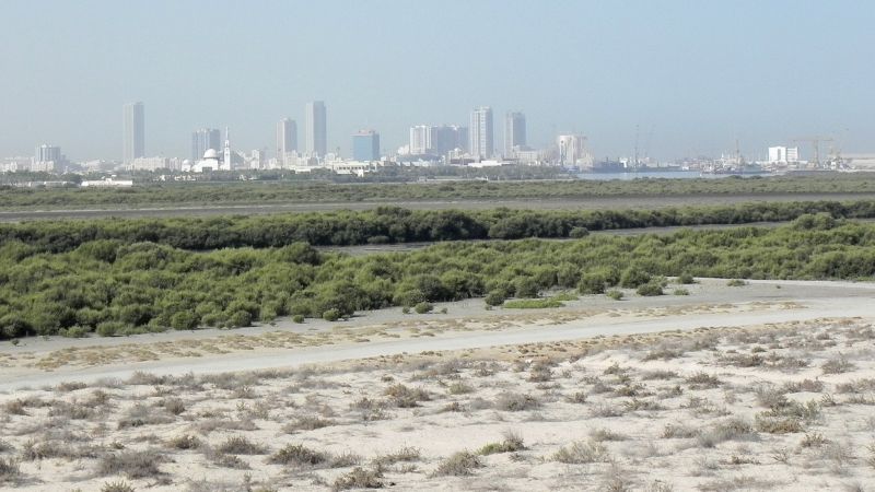 Umm Al Quwain
