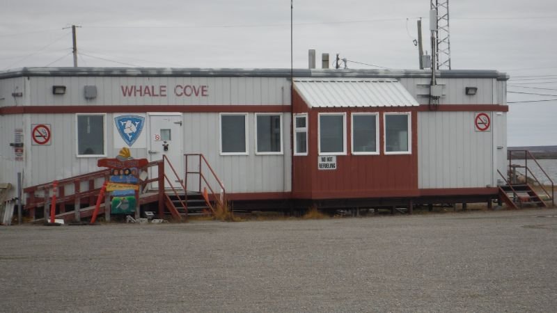 Whale Cove Airport