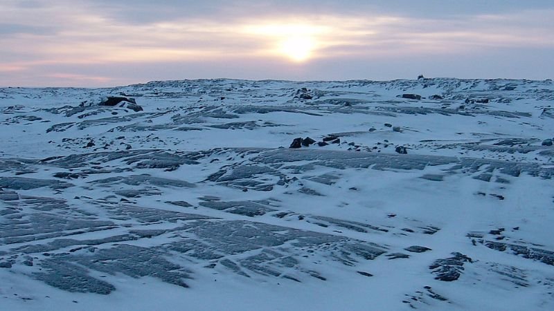 Whale Cove