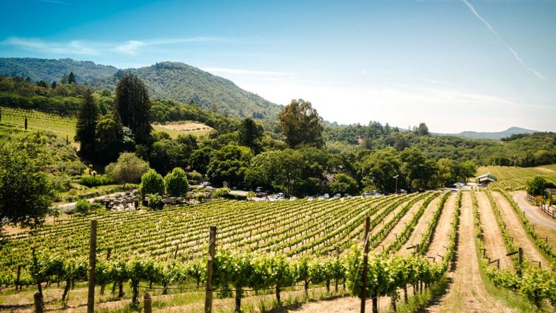Sonoma